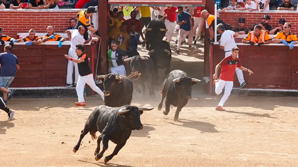 Encierros San Sebastián Reyes