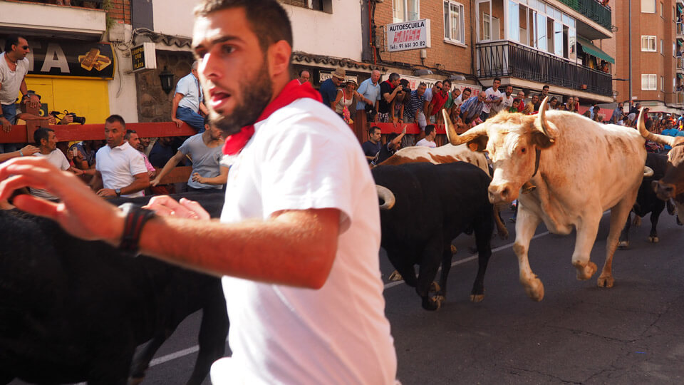 Running the bulls in Madrid