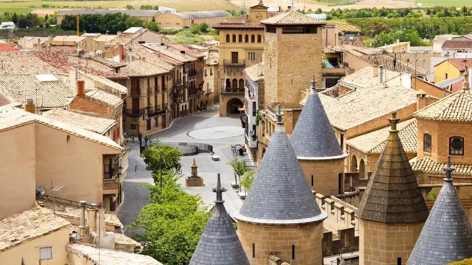 Olite castle