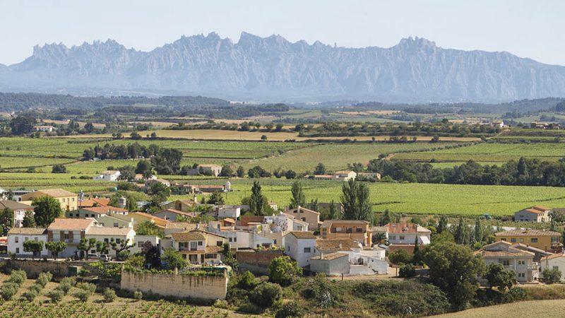 Penedes Wine Region: One Of The Best Spanish Wine Regions - CaramelTrail