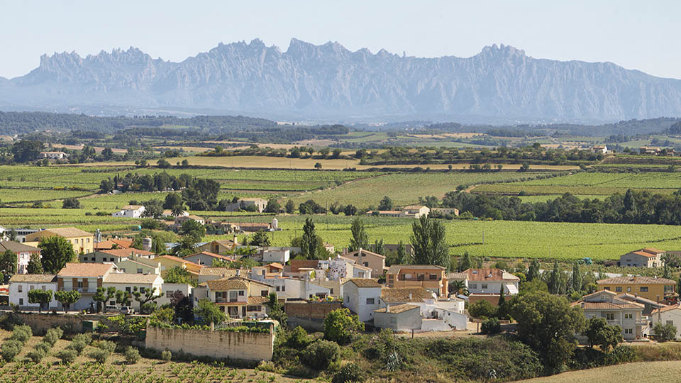 Penedes: Wineries near Barcelona