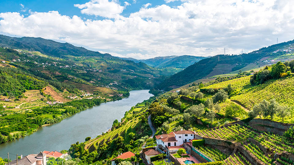 Douro wine region