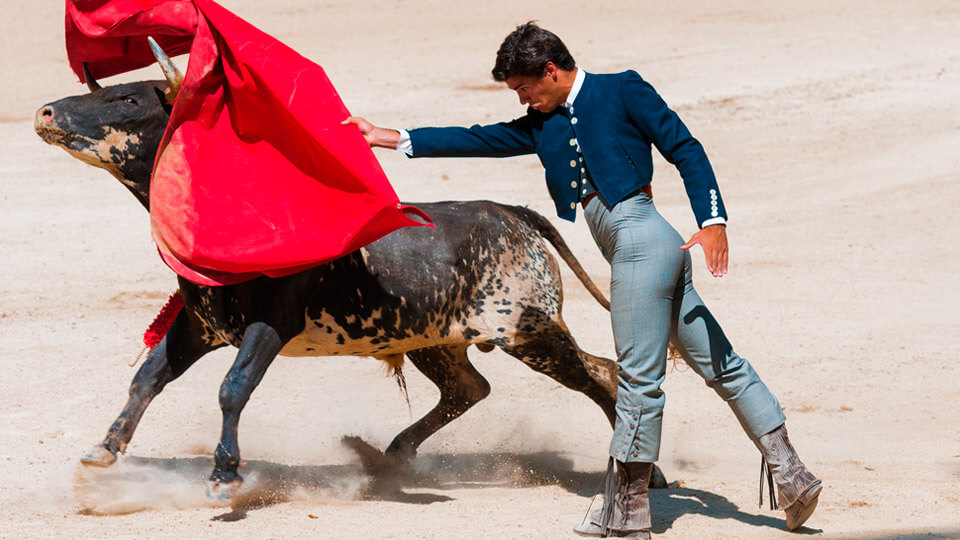 Bullfighter in a bullfight. Spain