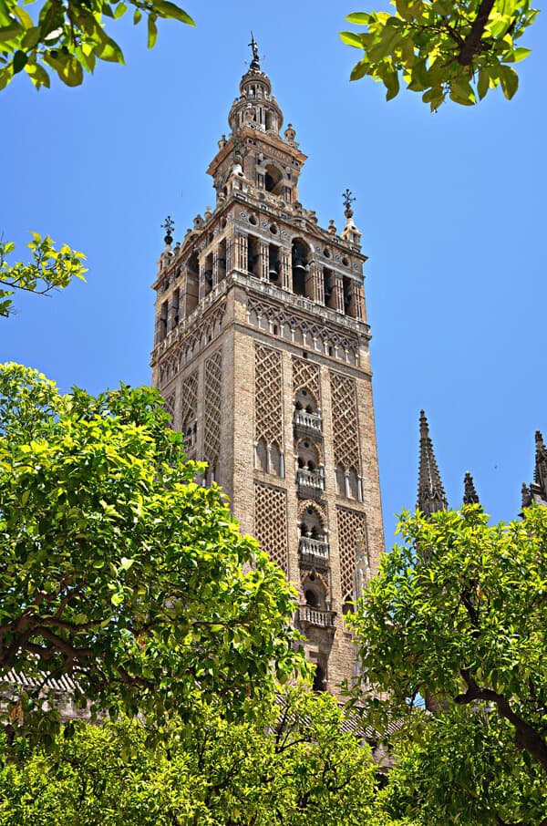 The Cathedral of Sevilla. Spain