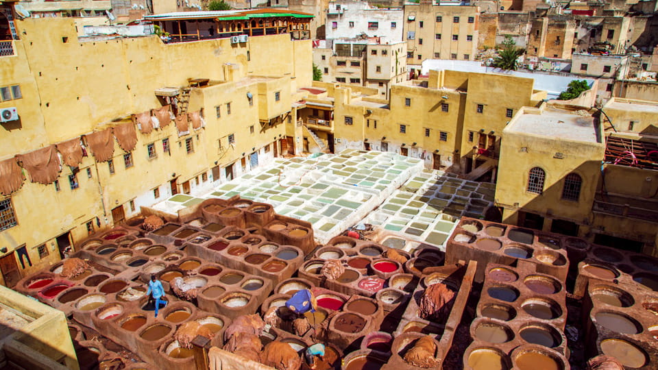 Tanneries - Medina of Fez