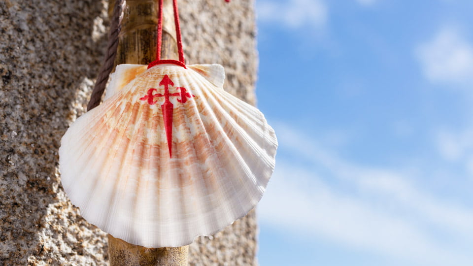 Walking stick and seashell – Camino de Santiago Walking stick and seashell - Camino de Santiago