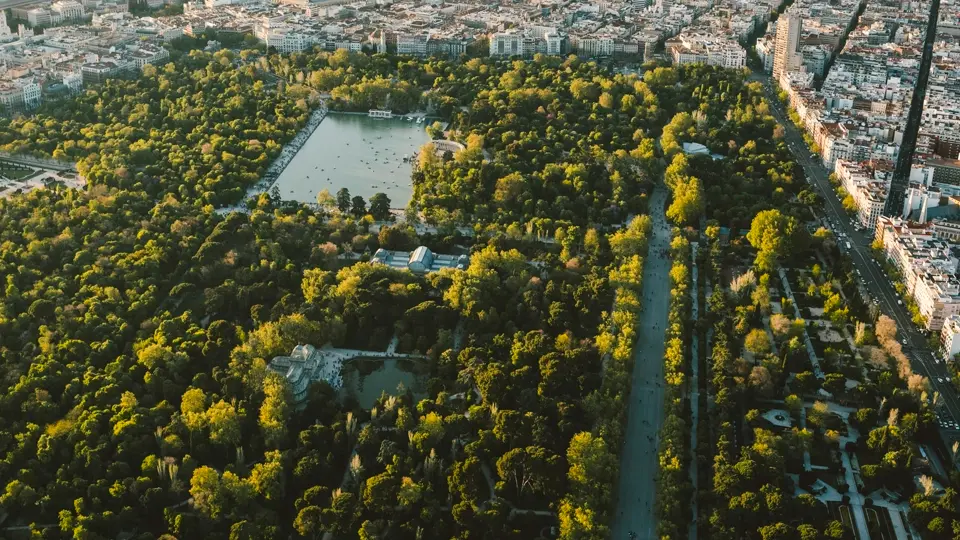 The Retiro Park in Madrid