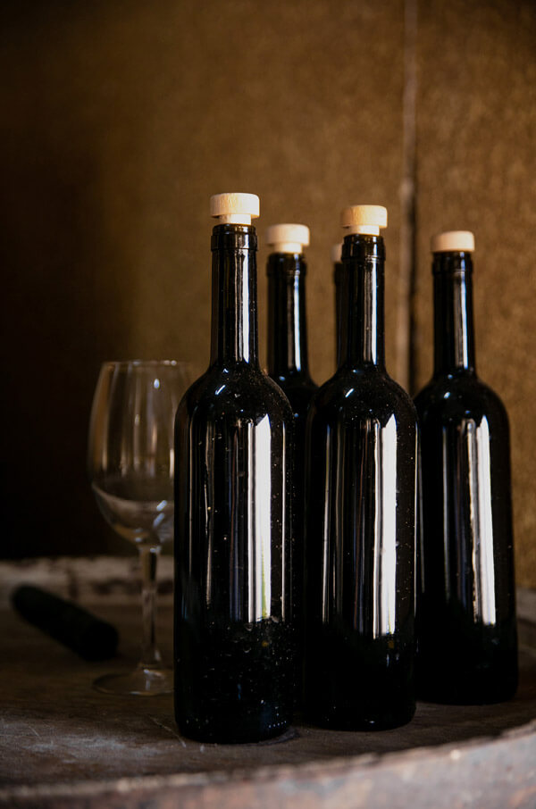La Rioja Wine Taste, Spain