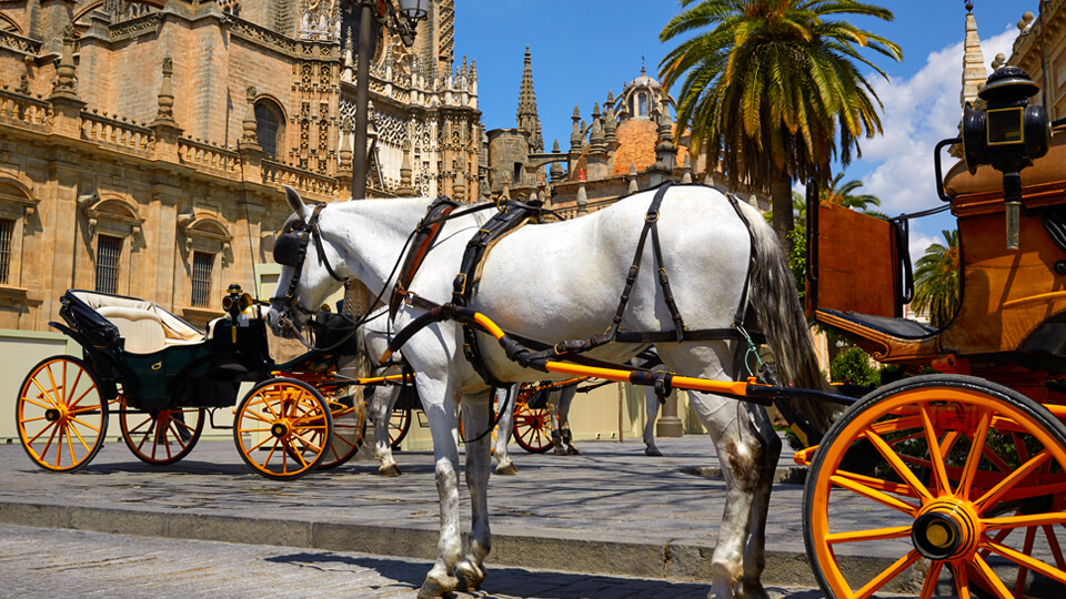 Seville Cathedral, Spain