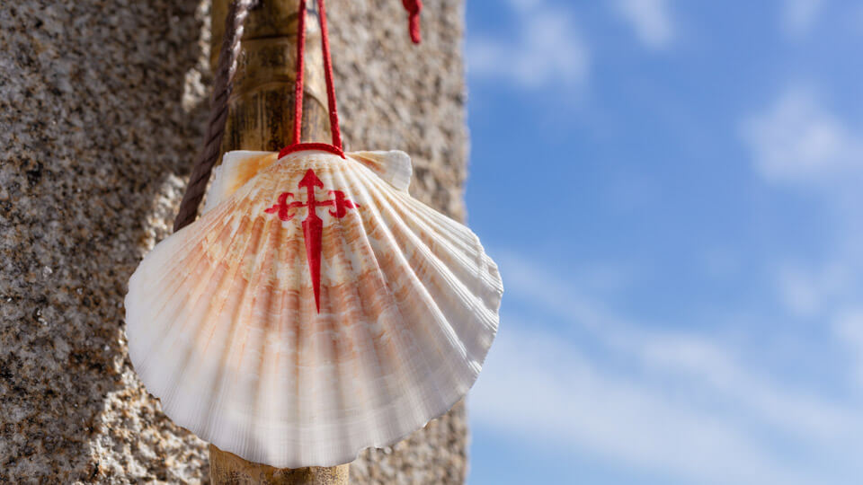 Scallop Shell is the symbol of The Camino de Santiago, Spain