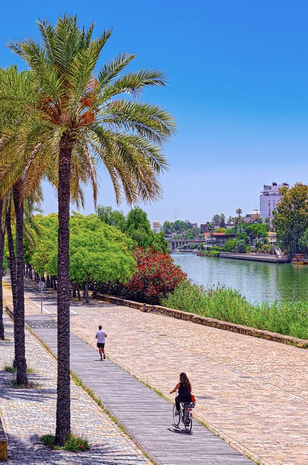 Seville bike tour along the Guadalquivir River