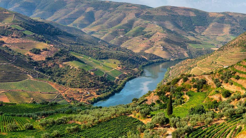 Douro valley in Portugal