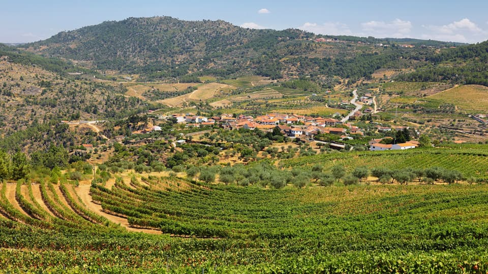 Douro valley in Portugal