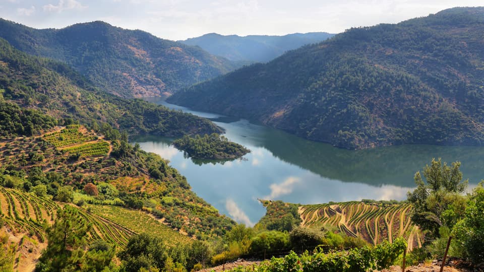 Douro Valley Tour by Car
