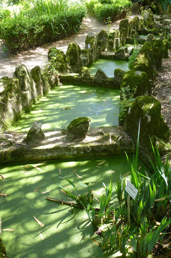 Lisbon Botanical Garden