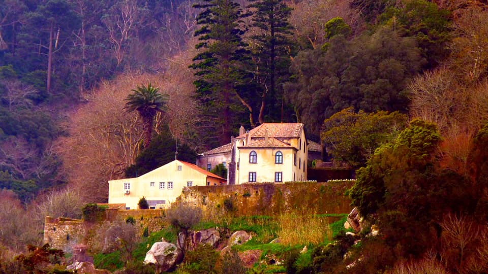 Old House in the Forest of Sintra