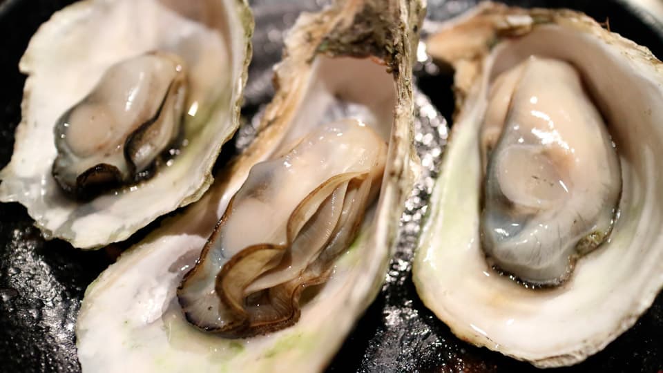 Oysters: Portugal