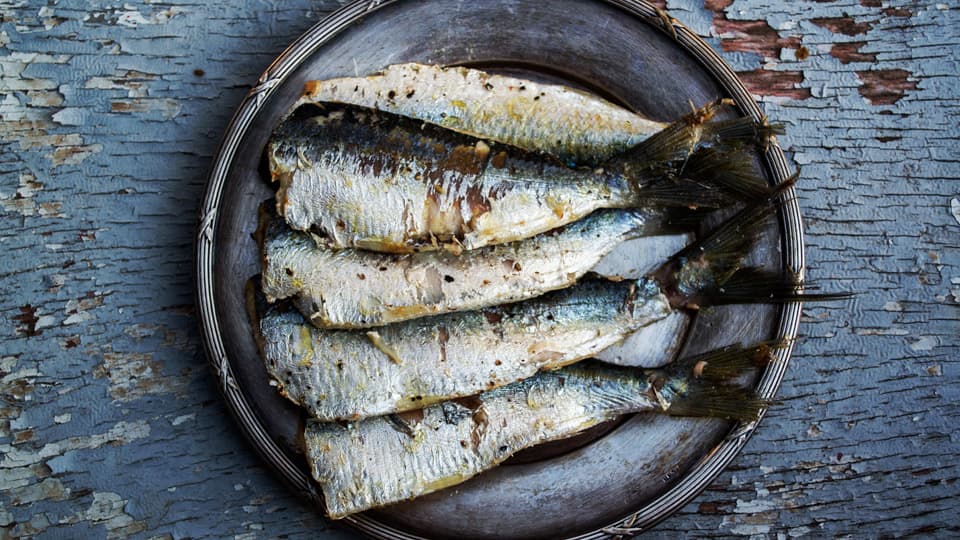 Portuguese sardines