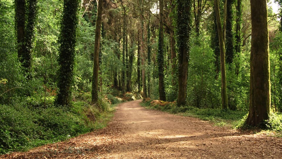 Sintra Cascais Natural Park