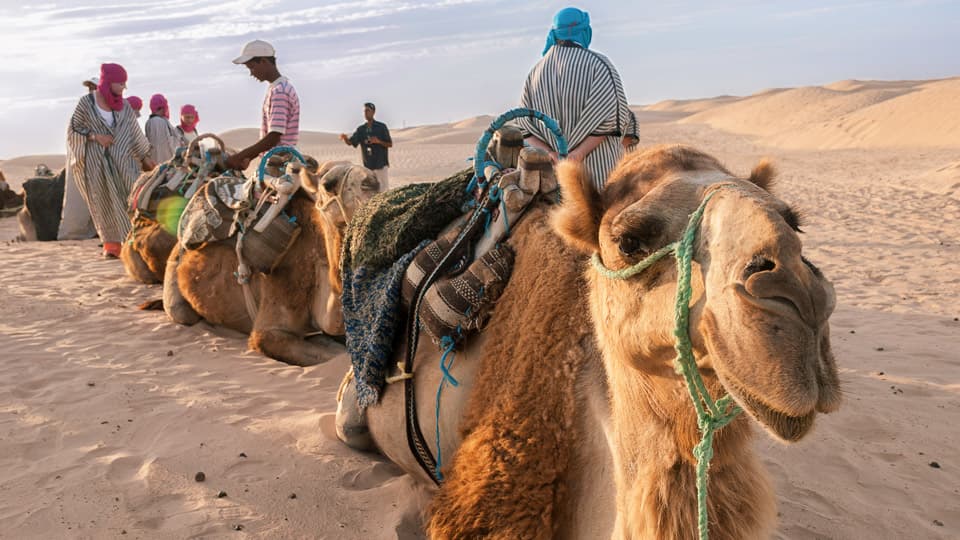 Camel Ride in Merzouga