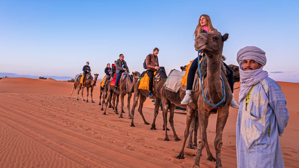 Camel trekking in Sahara Desert
