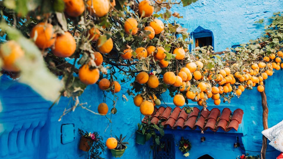 Chefchaouen. The Blue City in Morocco