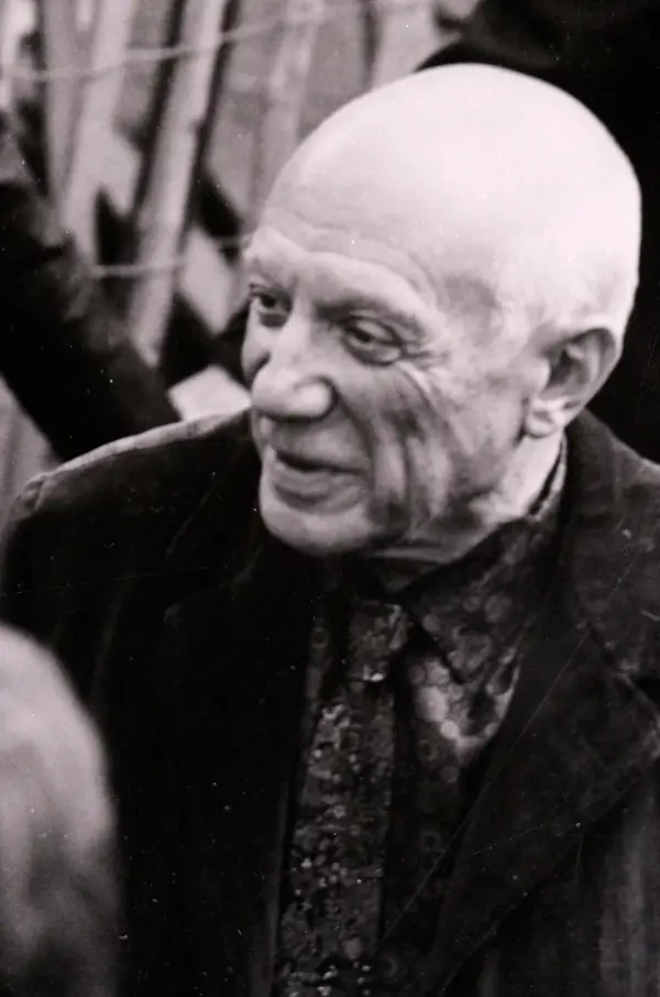 Picasso. Milan 1953