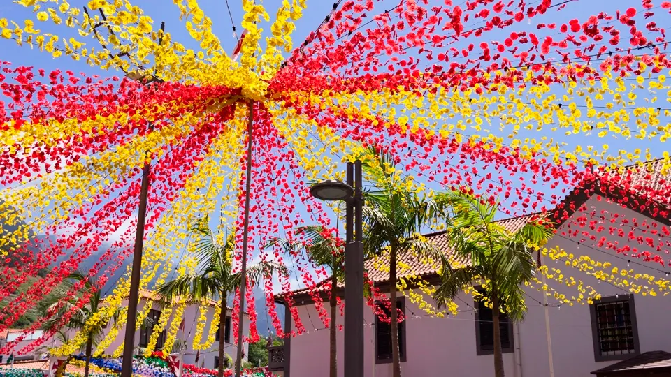 Madeira festivals