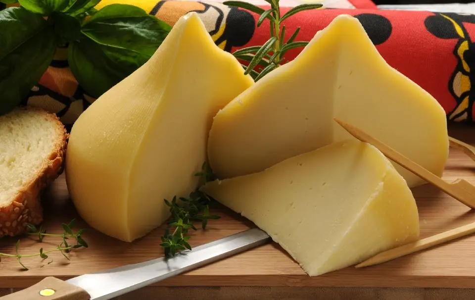 The spanish cheese: "Queso Tetilla" (Galicia)