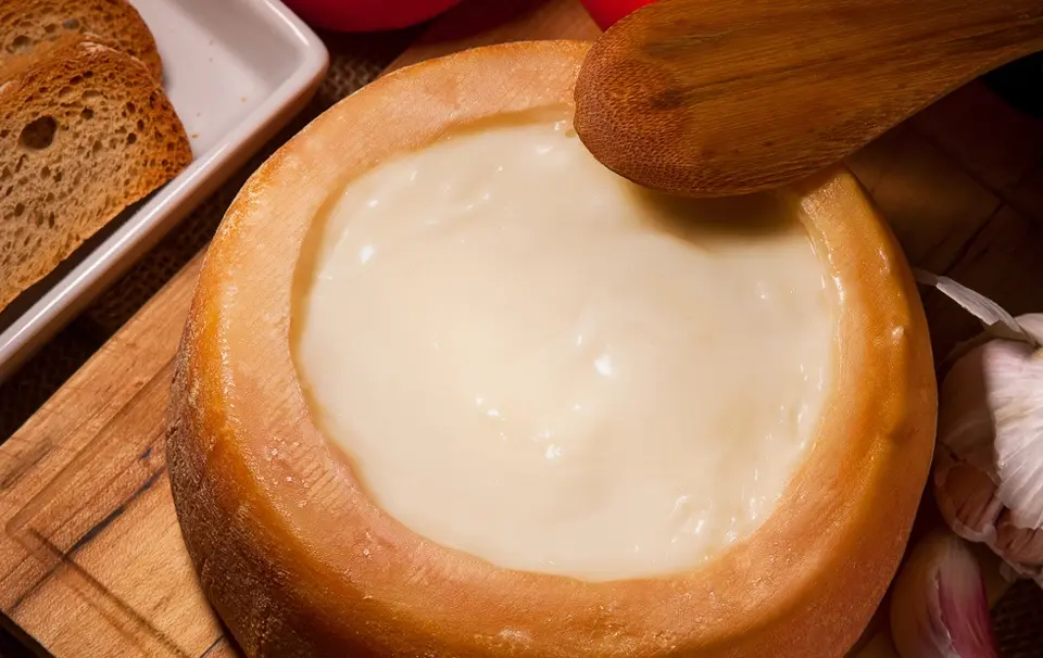 The spanish cheese: "Torta del Casar" (Extremadura)