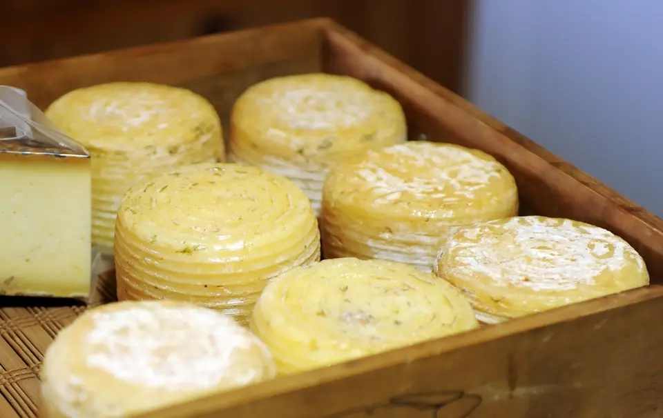 The spanish cheese: "Queso Payoyo" (Andalusia)