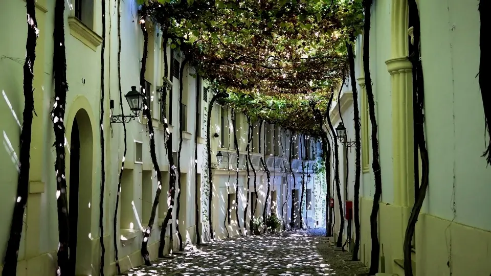 Calle de los Ciegos in Jerez de la Frontera