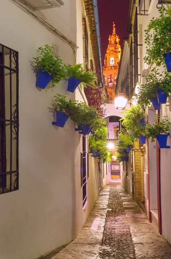 Calleja de las Flores. Córdoba