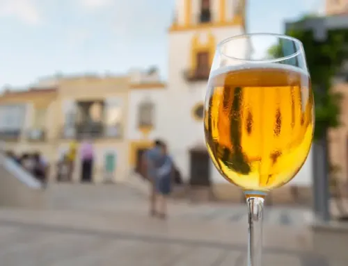 “Ir de Cañas” (Go for Drinks) in Spain