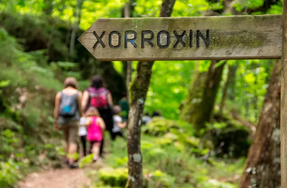 Xorroxin. The Baztán Valley