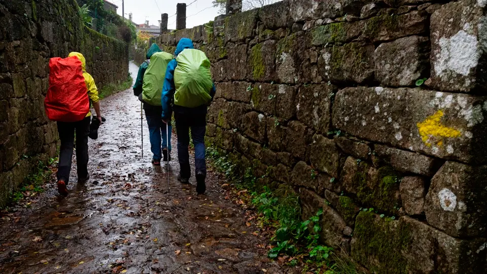 Portuguese Camino de Santiago