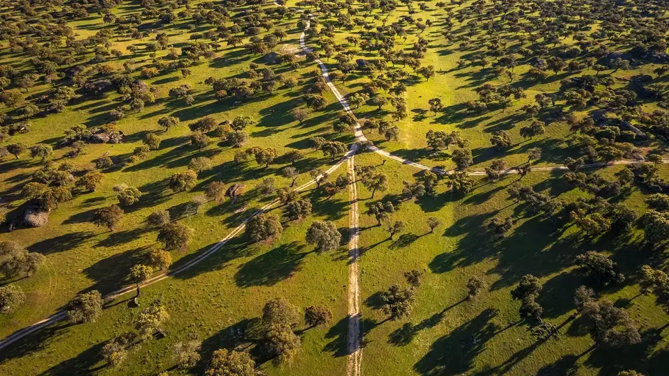 Dehesa de la luz. Extremadura