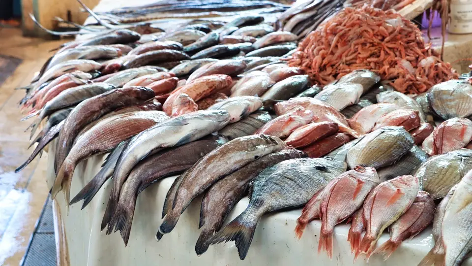 Fish market in Essaouira