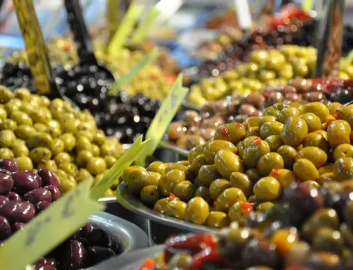 Spain: A Journey Through Olives and Liquid Gold