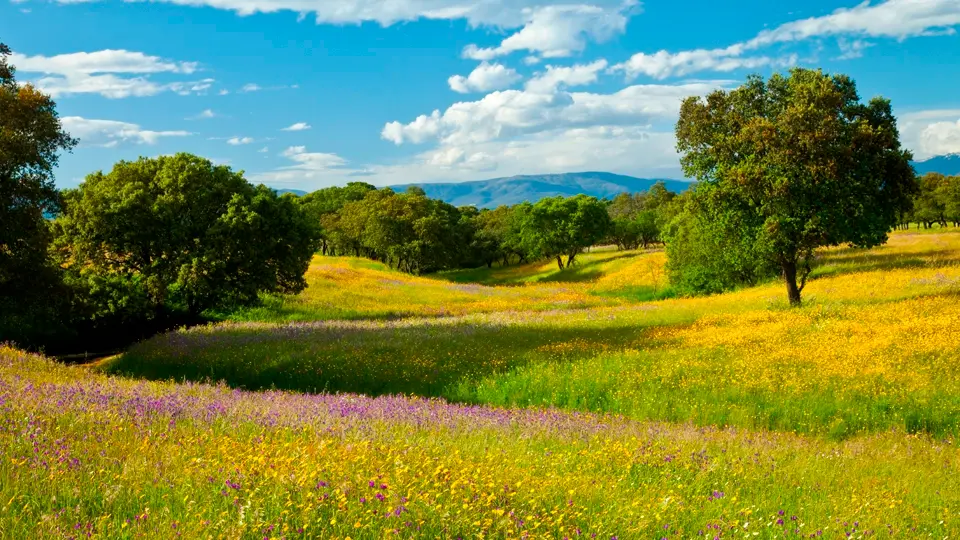 Monfragüe National Park