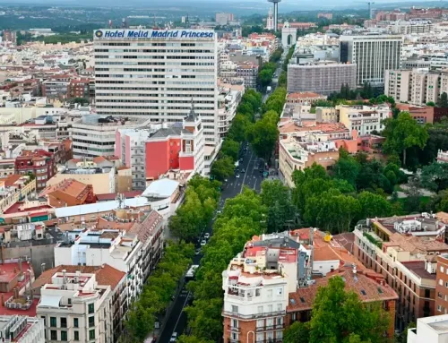 Discover the Magic of Liria Palace in Madrid: A Timeless Jewel in Spanish History