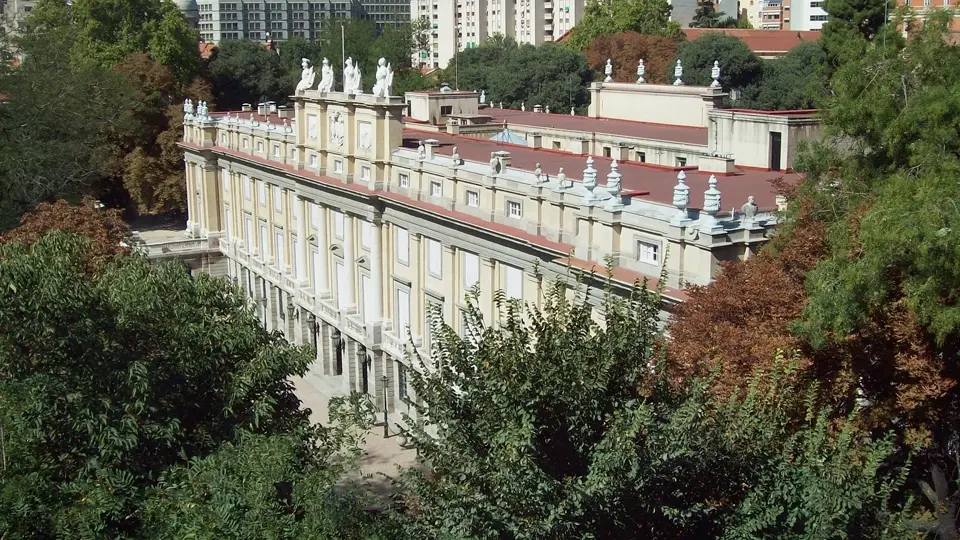 Liria Palace. Madrid (Spain)