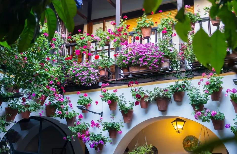 Andalusian courtyard