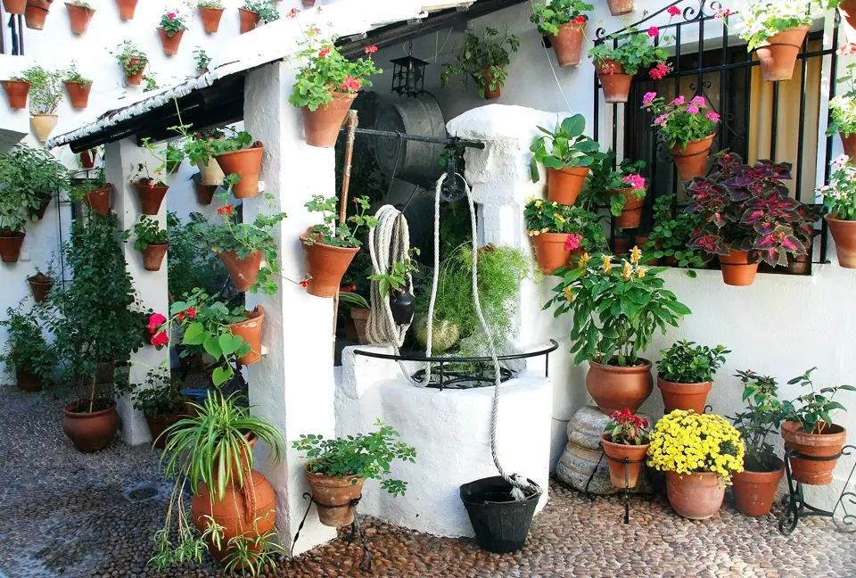Andalusian courtyard