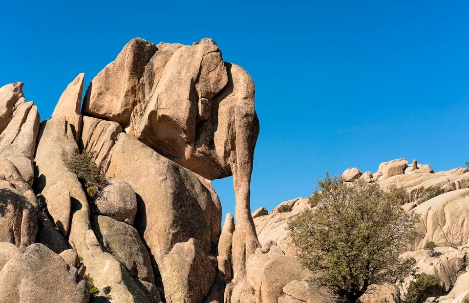 Elefantito de La Pedriza (Guadarrama, Madrid)
