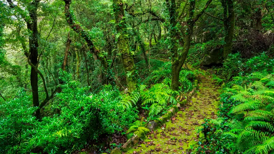 Sintra-Cascais Natural Park