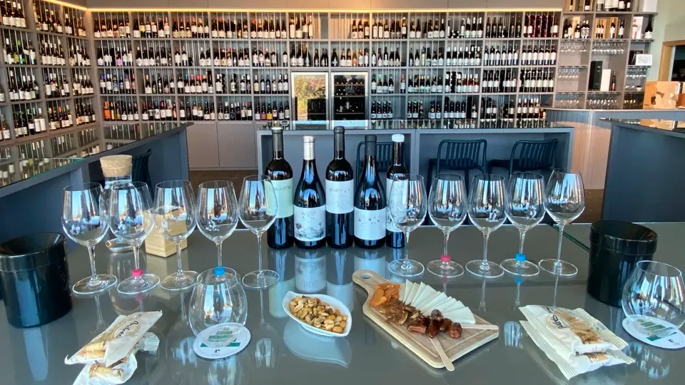 Tenerife wine route