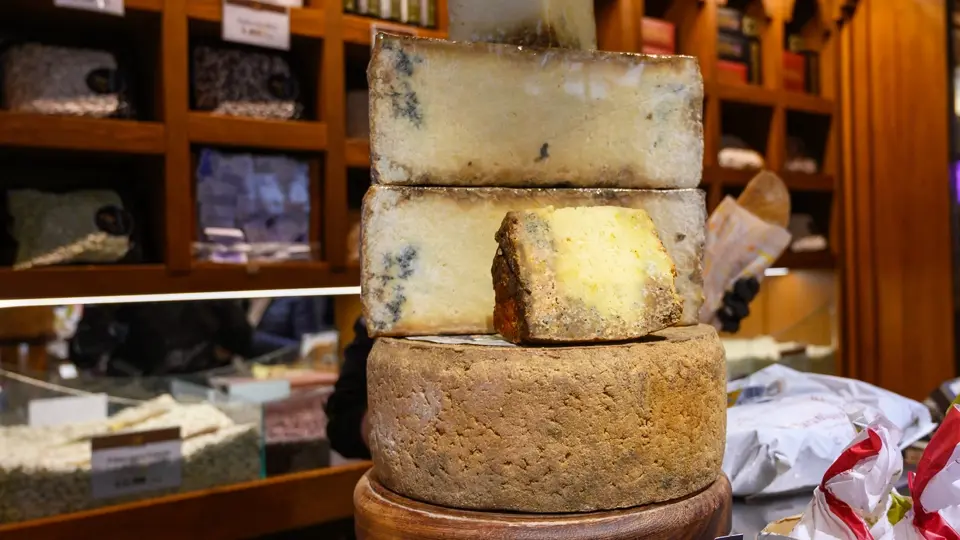 Different Asturian cheeses