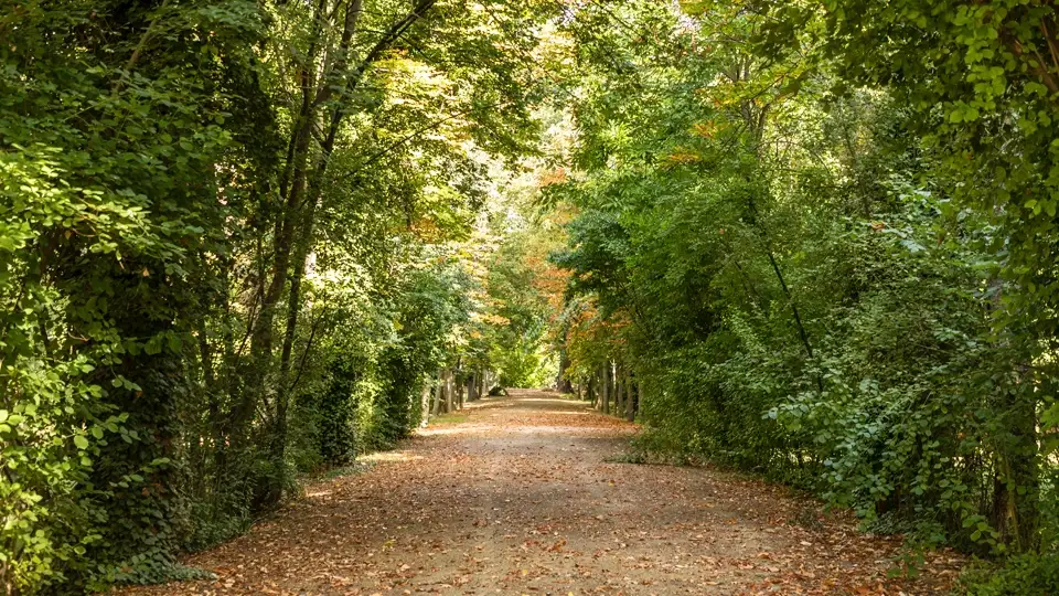 Garden of the Prince Aranjuez