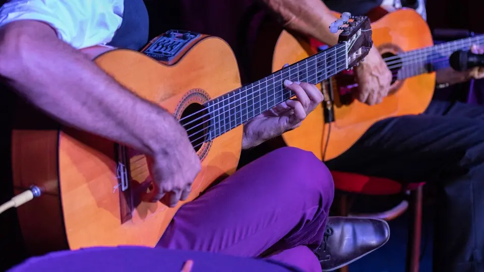 Flamenco guitar